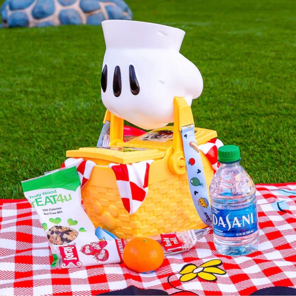 Disney picnic Basket NWT